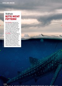 Titelbild der Ausgabe 32/2022 von BITTE NICHT FÜTTERN!. Zeitschriften als Abo oder epaper bei United Kiosk online kaufen.