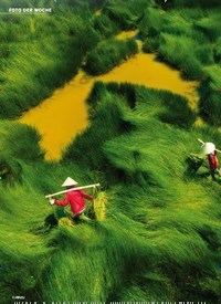 Titelbild der Ausgabe 36/2022 von Erntezeit in Vietnam WIE EIN MEER AUS GRAS. Zeitschriften als Abo oder epaper bei United Kiosk online kaufen.