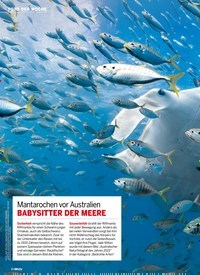 Titelbild der Ausgabe 37/2022 von BABYSITTER DER MEERE. Zeitschriften als Abo oder epaper bei United Kiosk online kaufen.