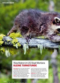 Titelbild der Ausgabe 39/2022 von Waschbären im US-Staat Montana KLEINE TURNSTUNDE. Zeitschriften als Abo oder epaper bei United Kiosk online kaufen.