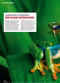Titelbild der Ausgabe 44/2022 von Laubfrösche in Costa Rica. Zeitschriften als Abo oder epaper bei United Kiosk online kaufen.