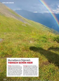Titelbild der Ausgabe 17/2024 von Murmeltiere in Österreich. Zeitschriften als Abo oder epaper bei United Kiosk online kaufen.