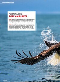 Titelbild der Ausgabe 28/2025 von Adler in Alaska ZOFF AM BUFFET. Zeitschriften als Abo oder epaper bei United Kiosk online kaufen.