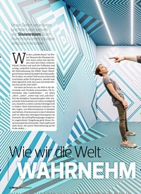 Titelbild der Ausgabe 4/2022 von Wie wir die Welt WAHRNEHM EN.... Zeitschriften als Abo oder epaper bei United Kiosk online kaufen.