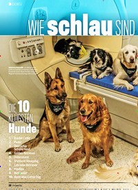 Titelbild der Ausgabe 16/2019 von DOKU:WIE schlau SIND Hunde WIRKLICH. Zeitschriften als Abo oder epaper bei United Kiosk online kaufen.