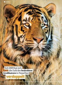 Titelbild der Ausgabe 21/2019 von DOKU: Der Tiger kehrt zurück. Zeitschriften als Abo oder epaper bei United Kiosk online kaufen.