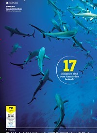 Titelbild der Ausgabe 23/2019 von REPORT: Die mit den HAIEN taucht. Zeitschriften als Abo oder epaper bei United Kiosk online kaufen.