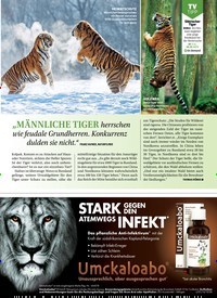 Titelbild der Ausgabe 22/2021 von Die neuen Gagen der Stars. Zeitschriften als Abo oder epaper bei United Kiosk online kaufen.