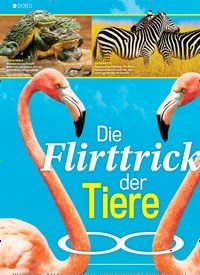 Titelbild der Ausgabe 3/2022 von Die Flirttricks der Tiere. Zeitschriften als Abo oder epaper bei United Kiosk online kaufen.