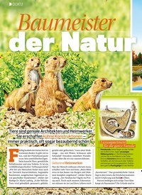 Titelbild der Ausgabe 6/2022 von Baumeister der Natur. Zeitschriften als Abo oder epaper bei United Kiosk online kaufen.