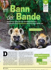 Titelbild der Ausgabe 11/2022 von Im Bann der Bande. Zeitschriften als Abo oder epaper bei United Kiosk online kaufen.