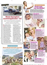 Titelbild der Ausgabe 22/2018 von AUFREGER: Wieder Kutschpferd zusammengebrochen – tot!. Zeitschriften als Abo oder epaper bei United Kiosk online kaufen.