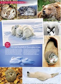 Titelbild der Ausgabe 2/2019 von Themen der Woche: Bilder der Woche: Zeit zum Kuscheln & Zusammenrücken. Zeitschriften als Abo oder epaper bei United Kiosk online kaufen.