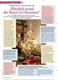 Titelbild der Ausgabe 2/2019 von Verbraucher: 7 Festtags-Pannen – und wer jetzt dafür zahlt: „Plötzlich stand der Baum in Flammen“. Zeitschriften als Abo oder epaper bei United Kiosk online kaufen.