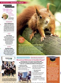 Titelbild der Ausgabe 9/2019 von Themen der Woche. Zeitschriften als Abo oder epaper bei United Kiosk online kaufen.