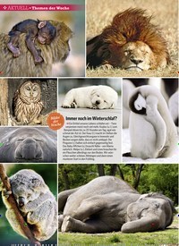 Titelbild der Ausgabe 11/2019 von Themen der Woche: Immer noch im Winterschlaf?. Zeitschriften als Abo oder epaper bei United Kiosk online kaufen.