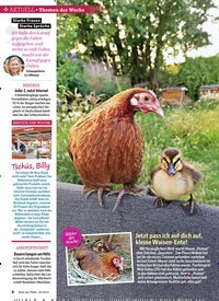 Titelbild der Ausgabe 30/2019 von Themen der Woche. Zeitschriften als Abo oder epaper bei United Kiosk online kaufen.