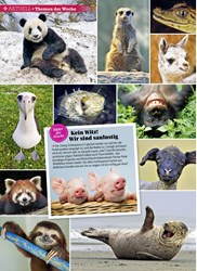 Titelbild der Ausgabe 38/2019 von Themen der Woche: Kein Witz! Wir sind saulustig. Zeitschriften als Abo oder epaper bei United Kiosk online kaufen.