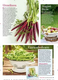 Titelbild der Ausgabe 4/2021 von Urlaub auf dem Teller Streetfood für daheim. Zeitschriften als Abo oder epaper bei United Kiosk online kaufen.