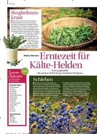 Titelbild der Ausgabe 6/2022 von Erntezeit für Kälte-Helden. Zeitschriften als Abo oder epaper bei United Kiosk online kaufen.