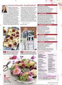 Titelbild der Ausgabe 1/2019 von Domino im Baumarkt – das geht spielend. Zeitschriften als Abo oder epaper bei United Kiosk online kaufen.
