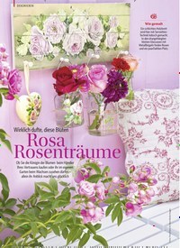 Titelbild der Ausgabe 1/2019 von Wirklich dufte, diese Blüten: Rosa Rosenträume. Zeitschriften als Abo oder epaper bei United Kiosk online kaufen.