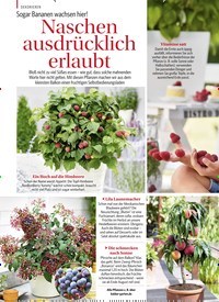 Titelbild der Ausgabe 1/2019 von Sogar Bananen wachsen hier!: Naschen ausdrücklich erlaubt. Zeitschriften als Abo oder epaper bei United Kiosk online kaufen.