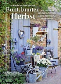 Titelbild der Ausgabe 2/2019 von DEKORIEREN: Bunt, bunter, Herbst. Zeitschriften als Abo oder epaper bei United Kiosk online kaufen.