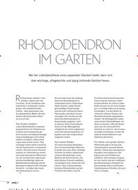 Titelbild der Ausgabe 3/2018 von RHODODENDRON IM GARTEN. Zeitschriften als Abo oder epaper bei United Kiosk online kaufen.