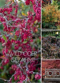 Titelbild der Ausgabe 6/2018 von WILD ODER GEZÄHMT. Zeitschriften als Abo oder epaper bei United Kiosk online kaufen.