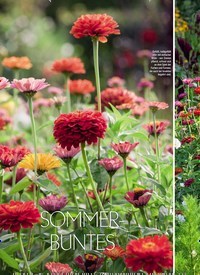 Titelbild der Ausgabe 4/2019 von SOMMERBUNTES. Zeitschriften als Abo oder epaper bei United Kiosk online kaufen.