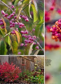 Titelbild der Ausgabe 5/2021 von HERBST-LEUCHTEN. Zeitschriften als Abo oder epaper bei United Kiosk online kaufen.