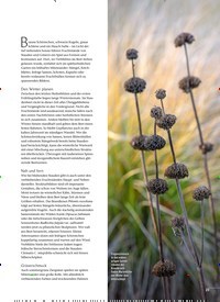Titelbild der Ausgabe 6/2021 von VERWANDLUNG IM BEET. Zeitschriften als Abo oder epaper bei United Kiosk online kaufen.