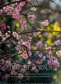 Titelbild der Ausgabe 1/2023 von DER ZEIT VORAUS. Zeitschriften als Abo oder epaper bei United Kiosk online kaufen.