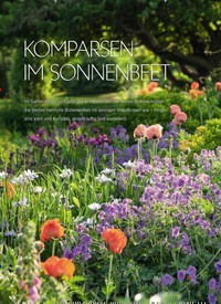 Titelbild der Ausgabe 3/2023 von KOMPARSEN IM SONNENBEET. Zeitschriften als Abo oder epaper bei United Kiosk online kaufen.