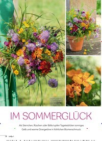 Titelbild der Ausgabe 4/2025 von IM SOMMERGLÜCK. Zeitschriften als Abo oder epaper bei United Kiosk online kaufen.