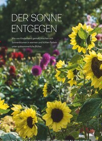 Titelbild der Ausgabe 5/2025 von DER SONNE ENTGEGEN. Zeitschriften als Abo oder epaper bei United Kiosk online kaufen.