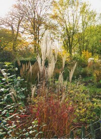 Der geheime Garten Titelbild Ausgabe 6/2025 Titelbild der Ausgabe 6/2025 von Der geheime Garten. Zeitschriften als Abo oder epaper bei United Kiosk online kaufen.