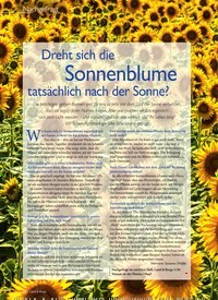 Titelbild der Ausgabe 4/2020 von Dreht sich die Sonnenblume tatsächlich nach der Sonne?. Zeitschriften als Abo oder epaper bei United Kiosk online kaufen.