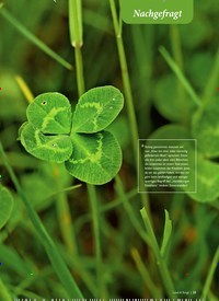 Titelbild der Ausgabe 1/2022 von Kahler Asten. Zeitschriften als Abo oder epaper bei United Kiosk online kaufen.