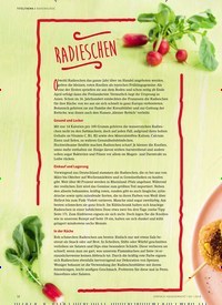 Titelbild der Ausgabe 3/2018 von WARENKUNDE: RADIESCHEN: QUINOABRATLINGE. Zeitschriften als Abo oder epaper bei United Kiosk online kaufen.