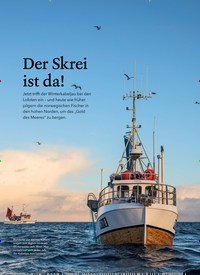 Titelbild der Ausgabe 1/2024 von Der Skrei ist da!. Zeitschriften als Abo oder epaper bei United Kiosk online kaufen.