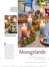 Titelbild der Ausgabe 1/2022 von Weihnachtsrot und Wintergrün. Zeitschriften als Abo oder epaper bei United Kiosk online kaufen.