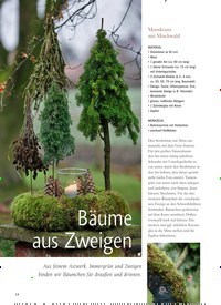 Titelbild der Ausgabe 1/2023 von Bäume aus Zweigen. Zeitschriften als Abo oder epaper bei United Kiosk online kaufen.