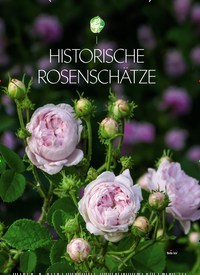 Titelbild der Ausgabe 1/2022 von HISTORISCHE ROSENSCHÄTZE. Zeitschriften als Abo oder epaper bei United Kiosk online kaufen.