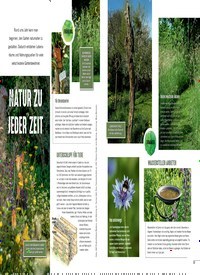 Titelbild der Ausgabe 1/2023 von Den Garten feiern. Zeitschriften als Abo oder epaper bei United Kiosk online kaufen.