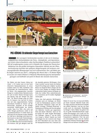 Titelbild der Ausgabe 12/2018 von PKS-Körung: Strahlender Siegerhengst aus Ganschow. Zeitschriften als Abo oder epaper bei United Kiosk online kaufen.
