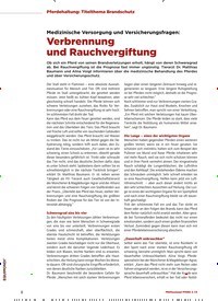 Titelbild der Ausgabe 3/2019 von Medizinische Versorgung und Versicherungsfragen: Verbrennung und Rauchvergiftung. Zeitschriften als Abo oder epaper bei United Kiosk online kaufen.