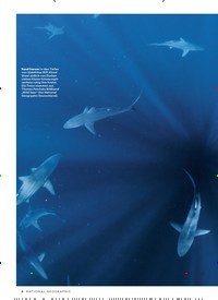 Titelbild der Ausgabe 7/2022 von KÖNIGE DER TIEFE. Zeitschriften als Abo oder epaper bei United Kiosk online kaufen.