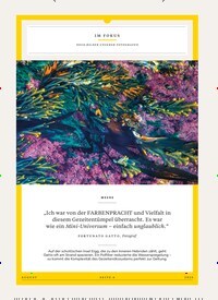 Titelbild der Ausgabe 8/2025 von IM FOKUS. Zeitschriften als Abo oder epaper bei United Kiosk online kaufen.